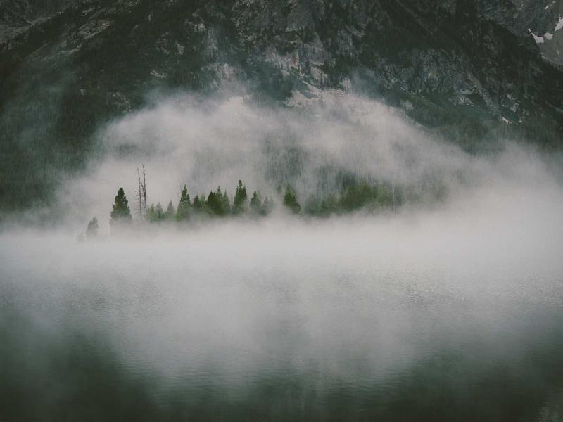 feedback screenshot 1