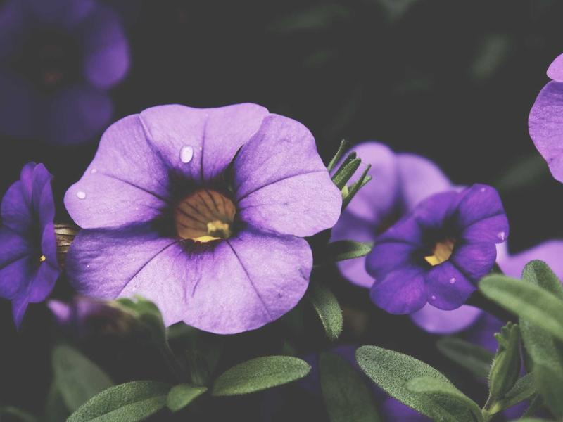 accessibility screenshot 1