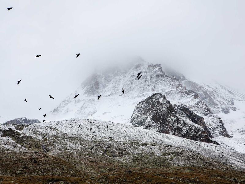 accessibility screenshot 5